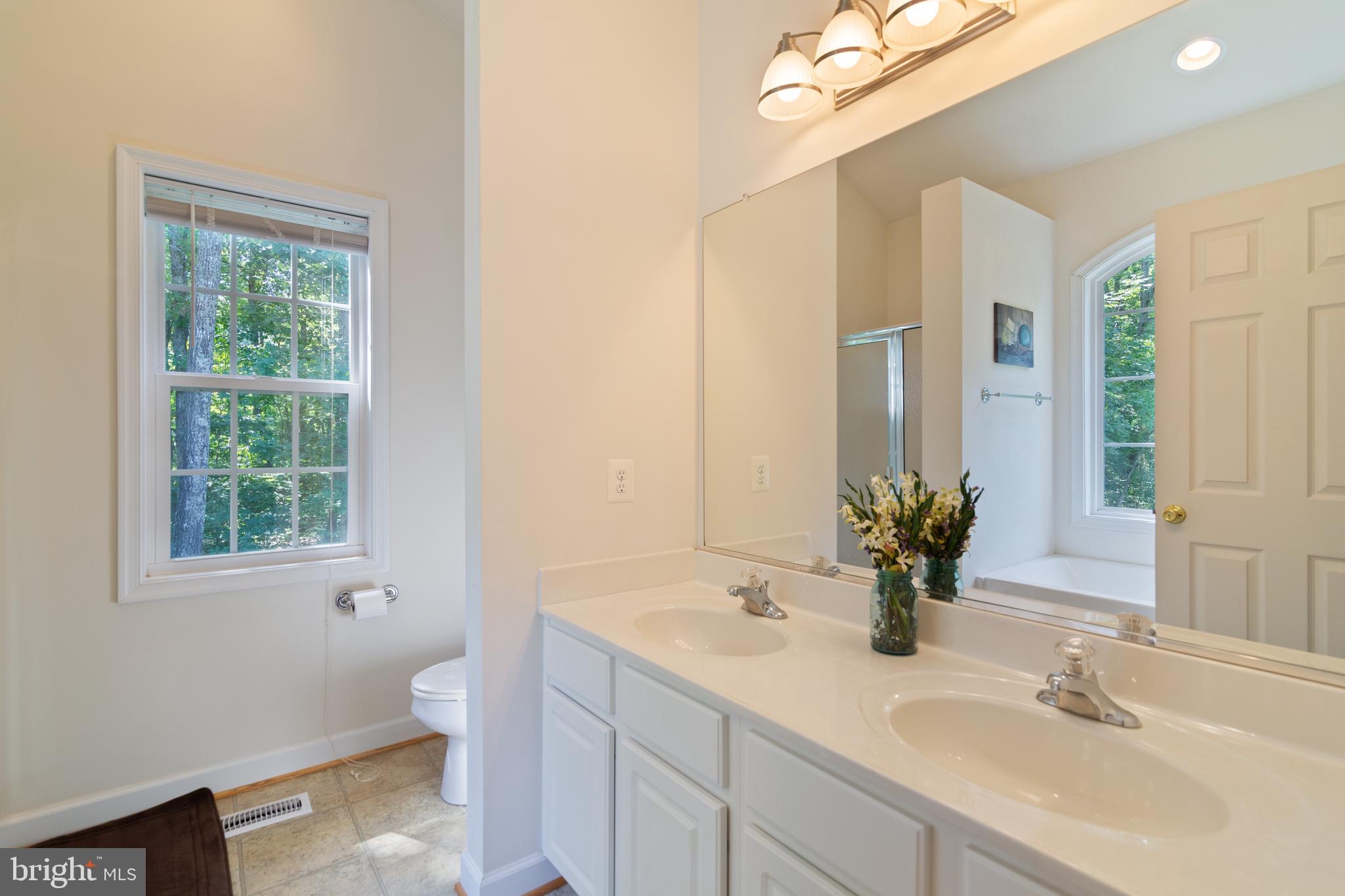 8289 Swan Woods Road Rhoadesville, VA 22542 - Photo 18 of 32 Pretty Master Bathroom with double vanities