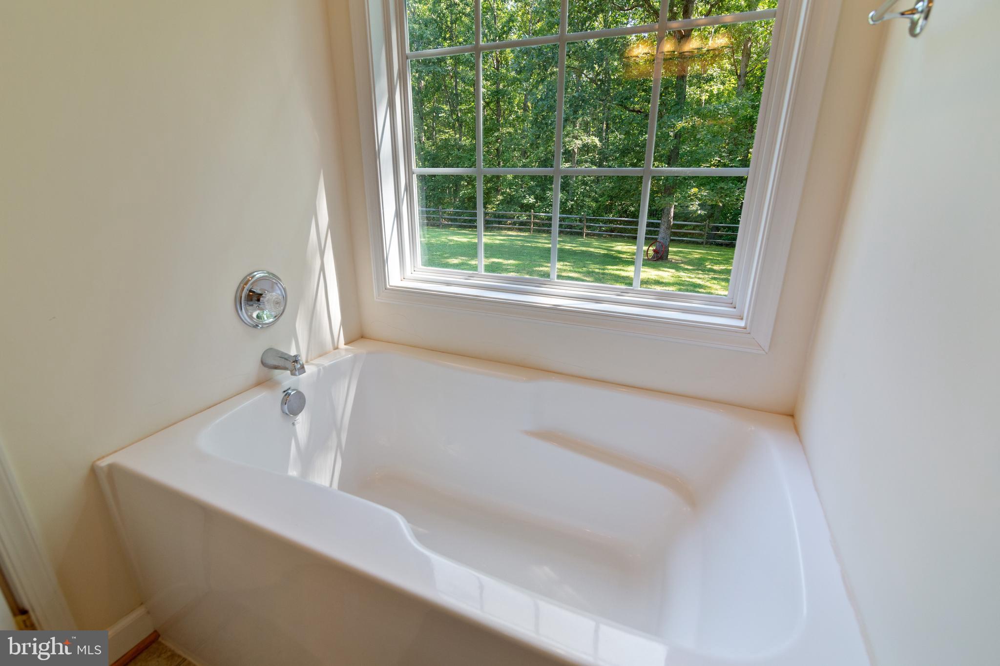 8289 Swan Woods Road Rhoadesville, VA 22542 - Photo 19 of 32 Large soaking tub with view to private back yard