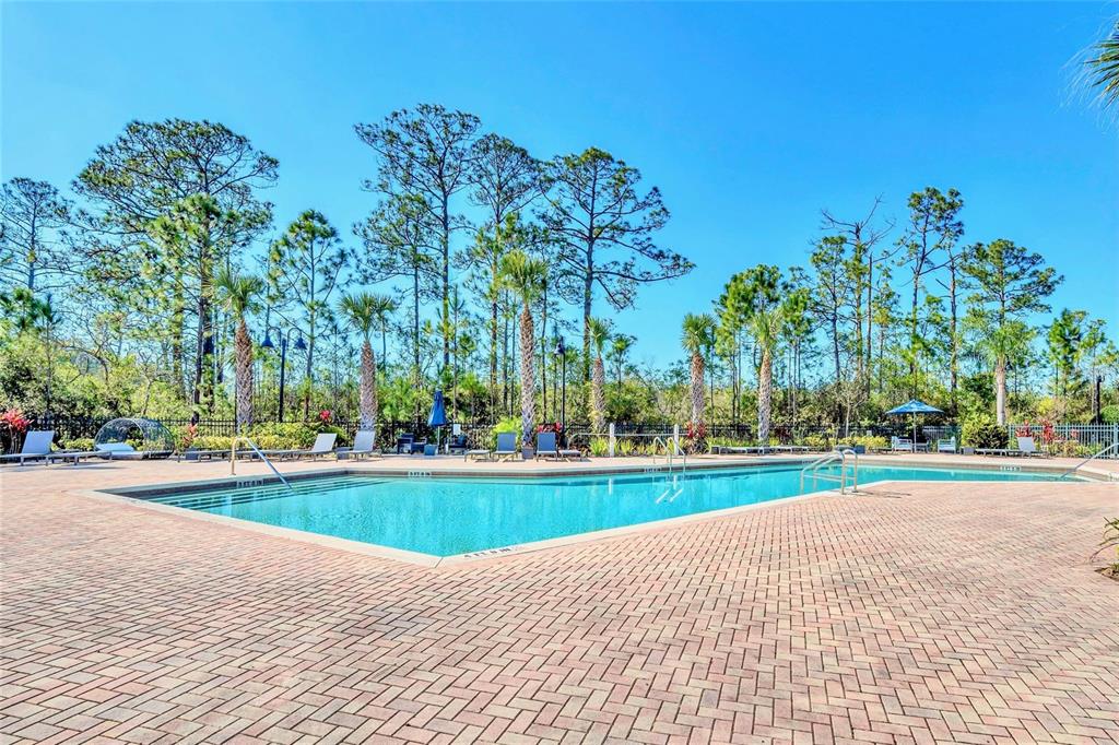 14200 Avalon Road, Unit 232 Winter Garden, FL 34787 - Photo 28 of 30 Gallery Image 28