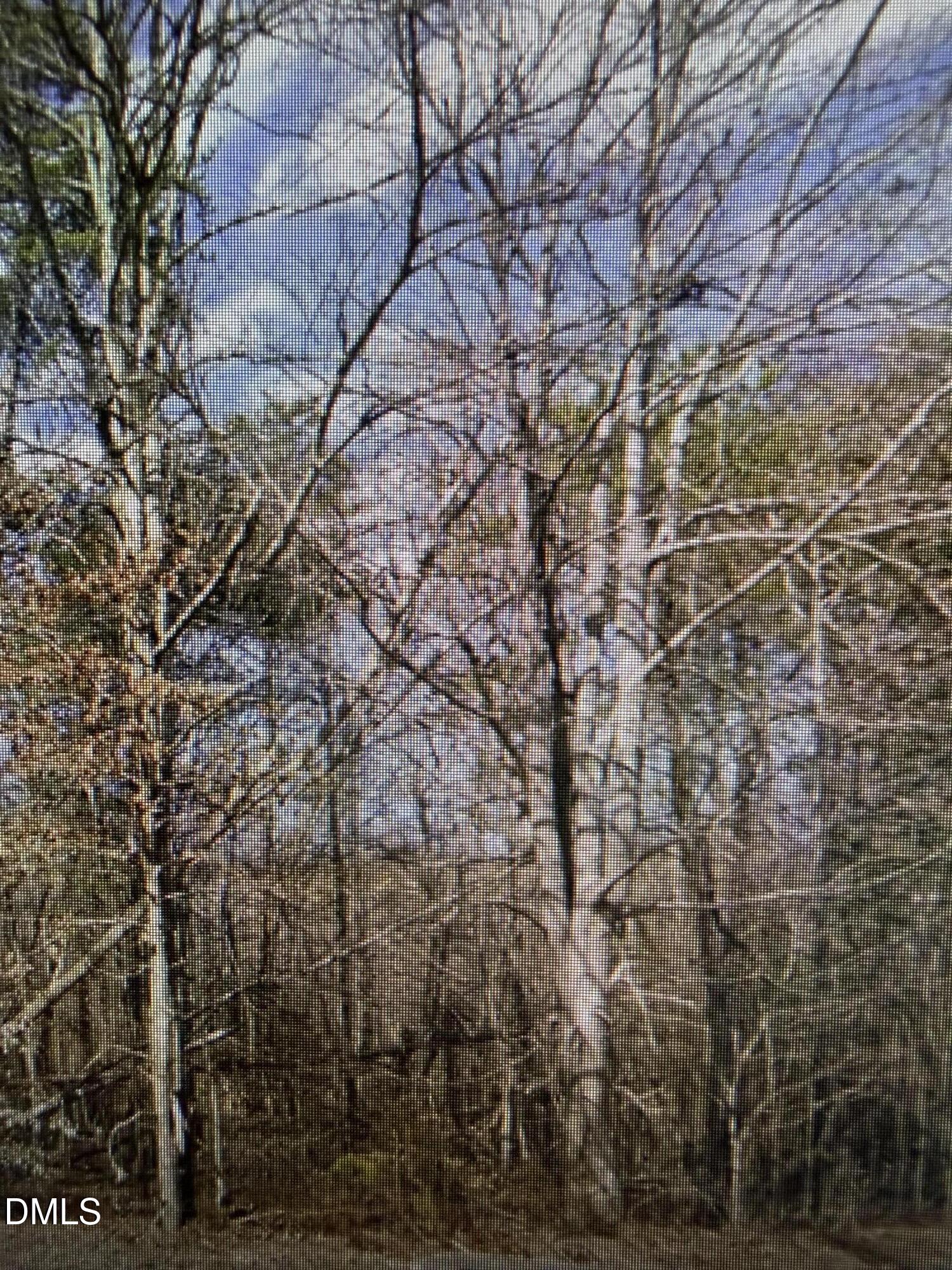 Lot 11 Lynn Smith Road Semora, NC 27343 - Photo 4 of 4 IMG_0467