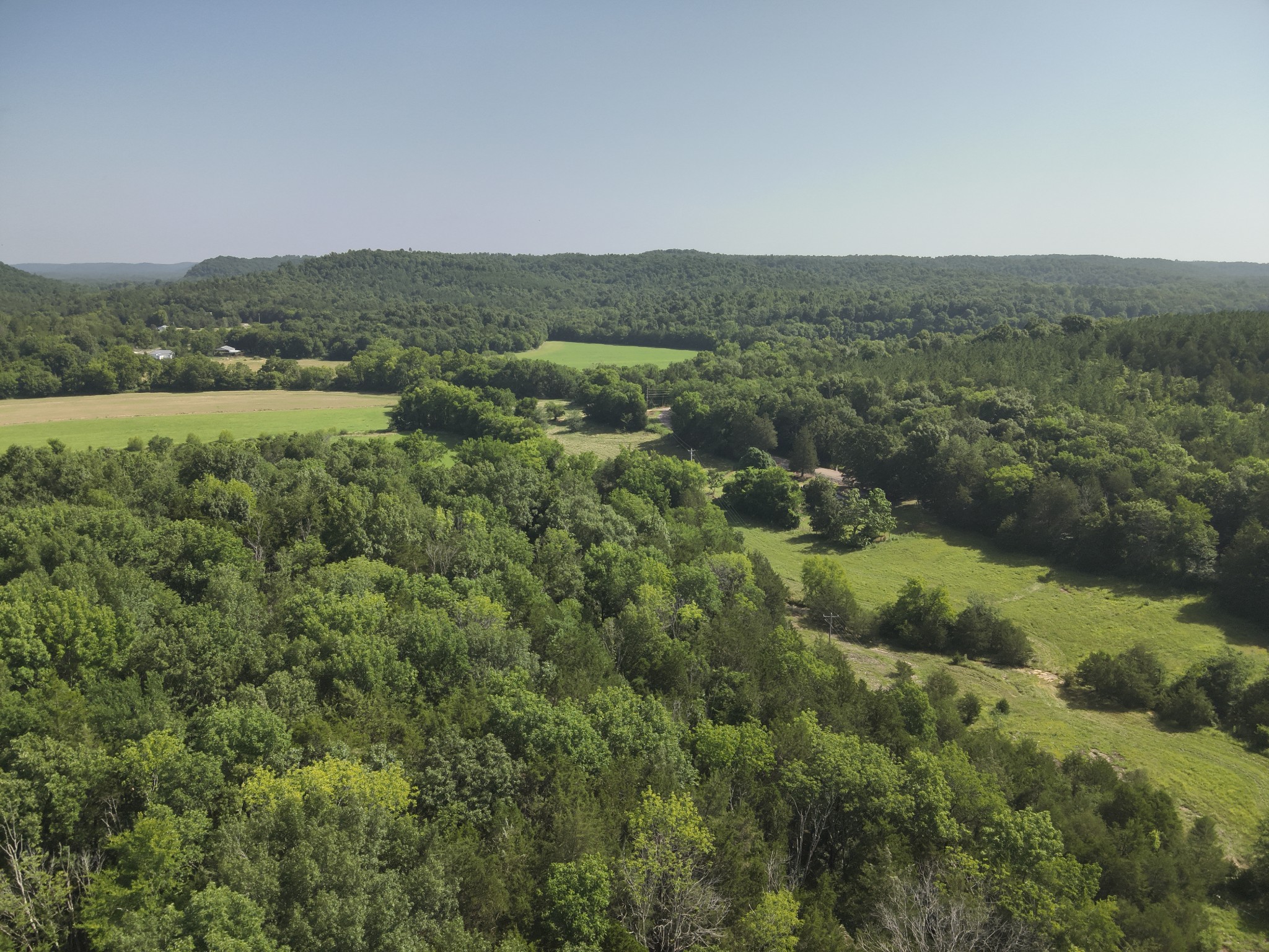 0 Culps Bend Road Clifton, TN 38425 - Photo 9 of 41