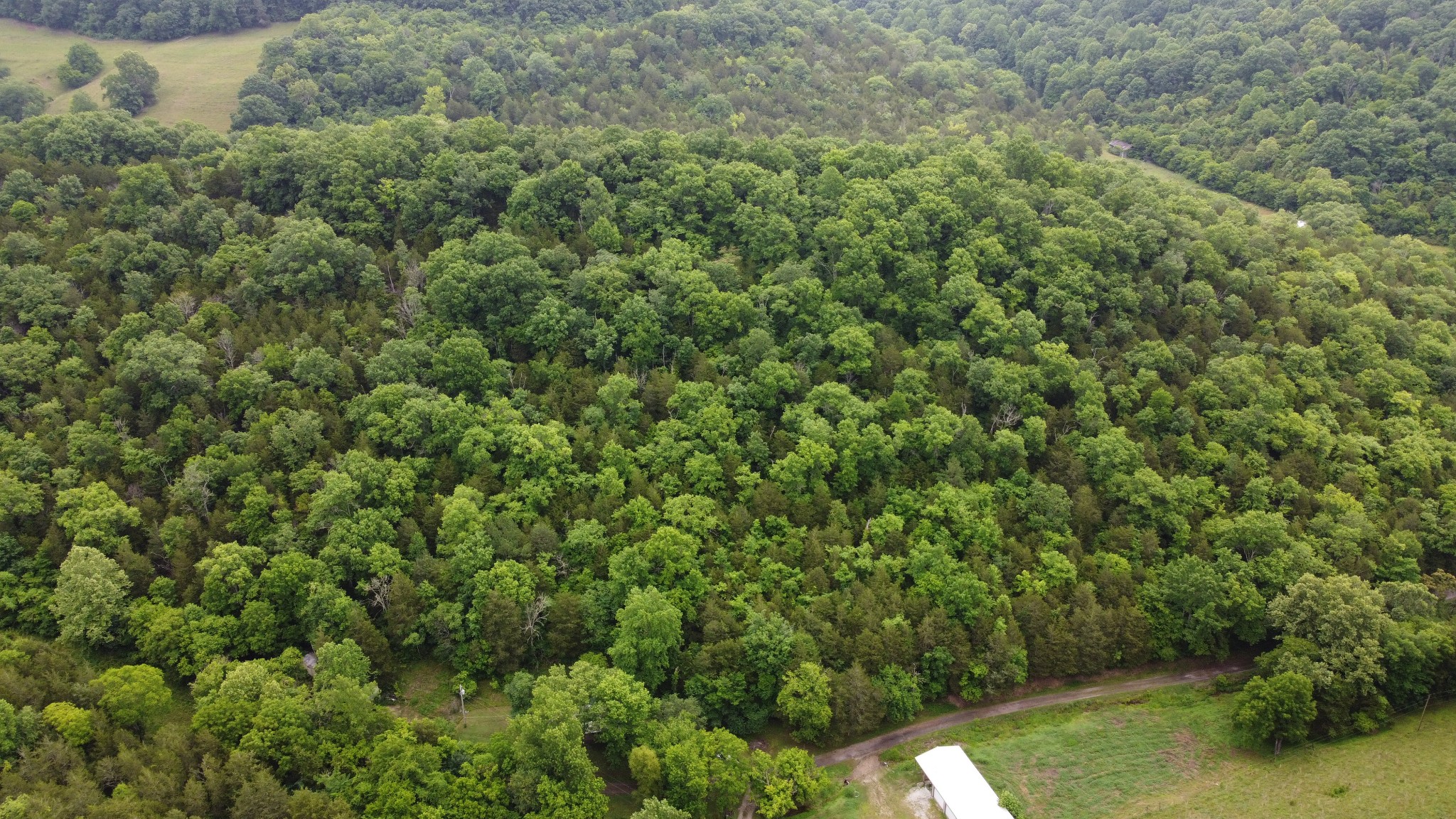 32 Patterson Lane Pleasant Shade, TN 37145 - Photo 1 of 33