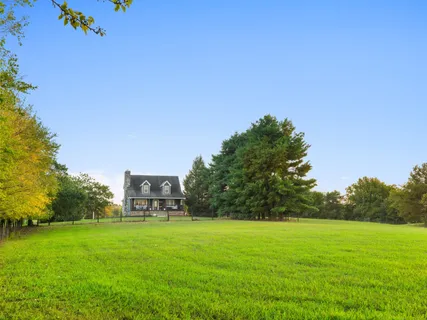 a view of a big yard with a palm tree
