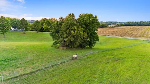 a lake view with huge green field and trees