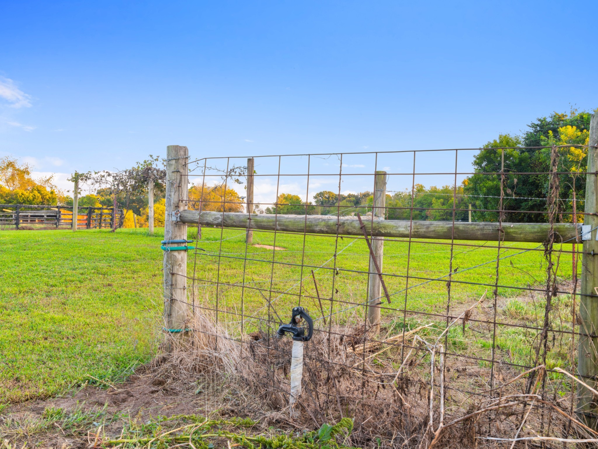 5439 Minnis Road Springfield, TN 37172 - Photo 40 of 43