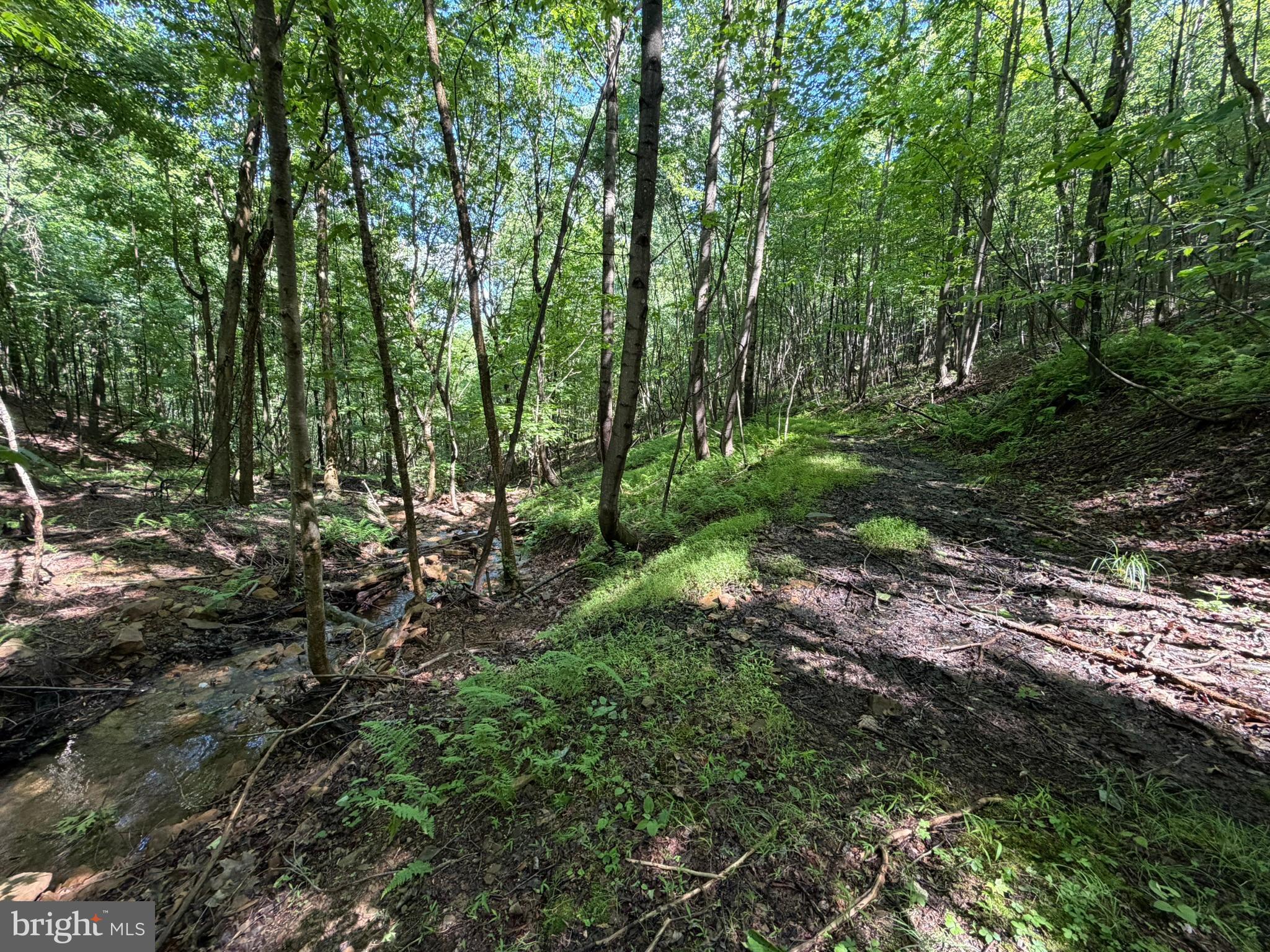 848 Sugar Camp Road Clearfield, PA 16830 - Photo 101 of 118