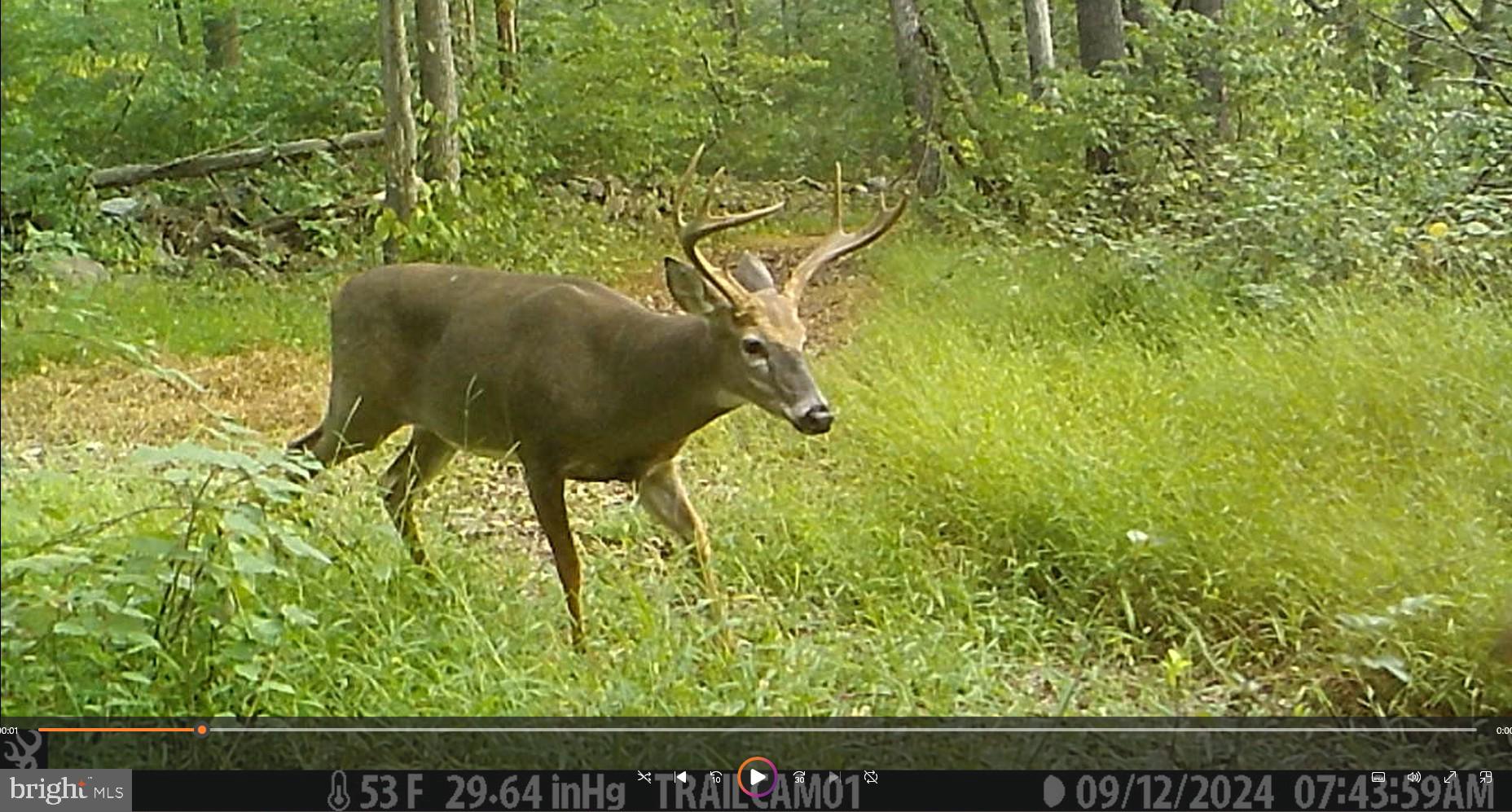 6375 Bull Road Dover, PA 17315 - Photo 141 of 150