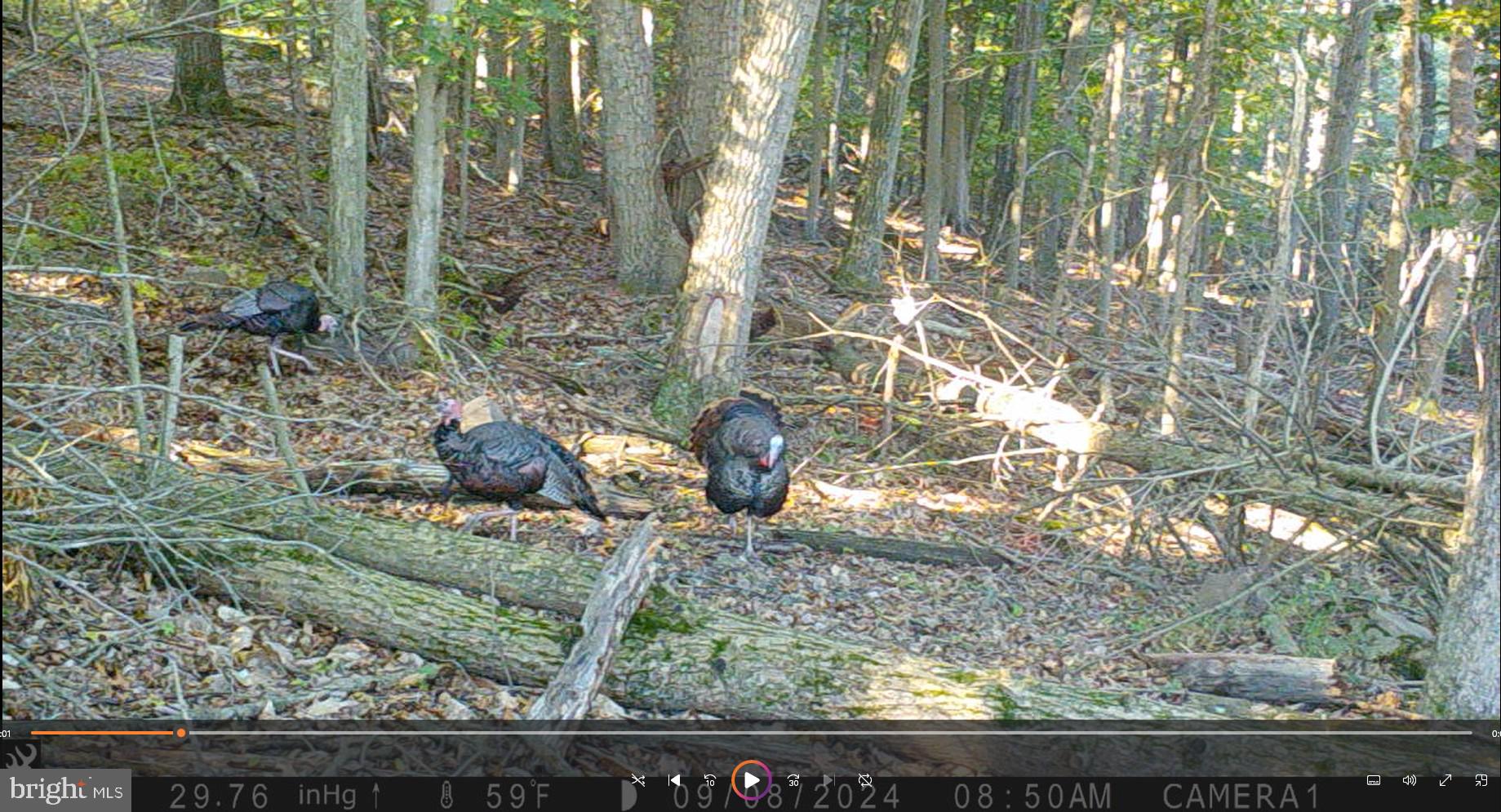 6375 Bull Road Dover, PA 17315 - Photo 148 of 150