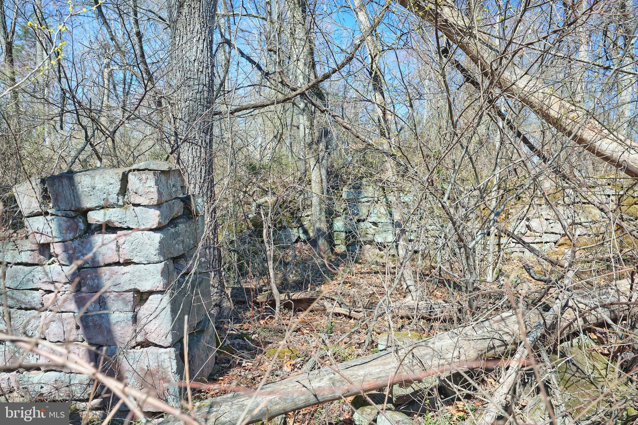 6375 Bull Road Dover, PA 17315 - Photo 93 of 150