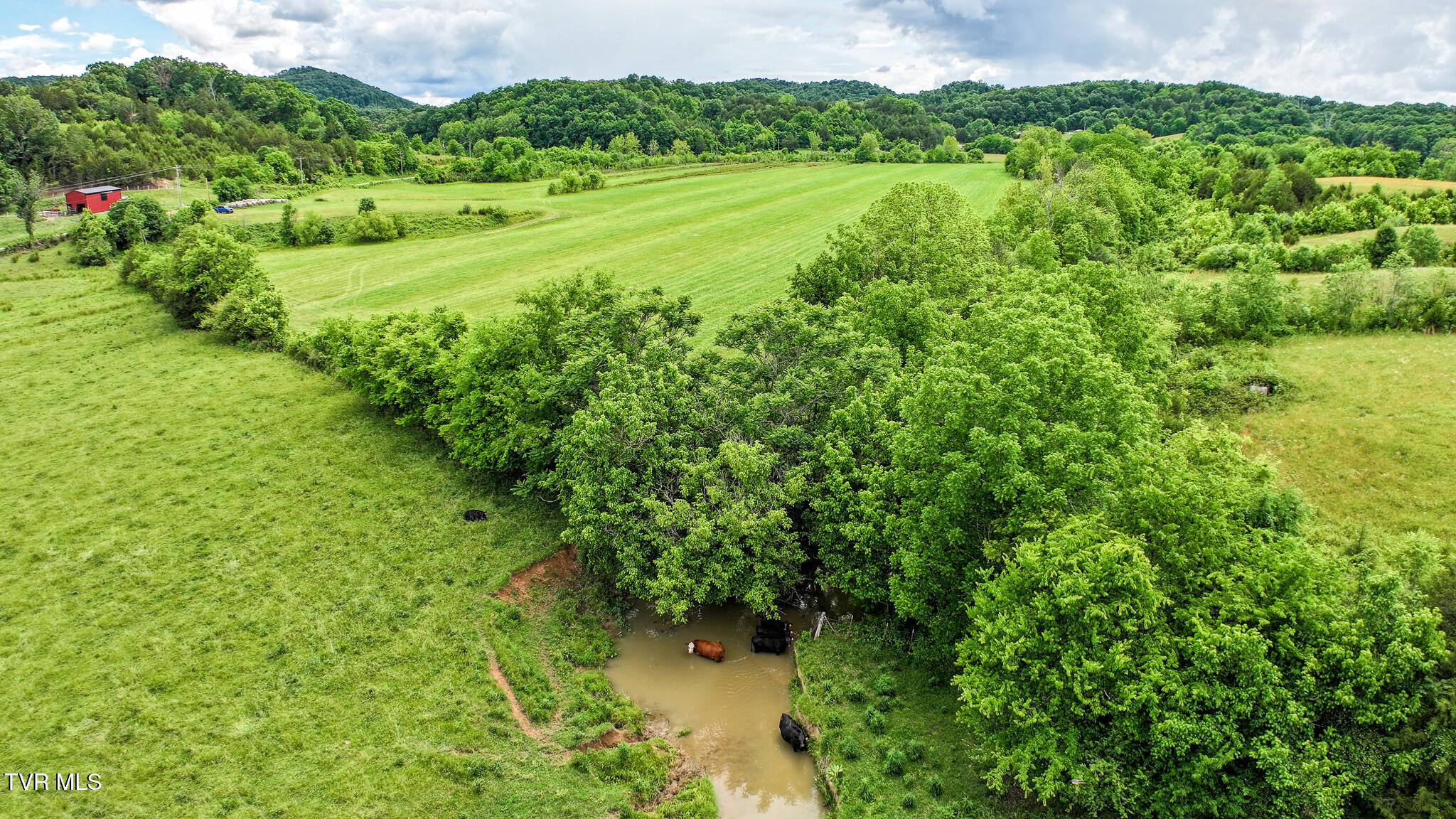 14.127-ac Justice Road Afton, TN 37616 - Photo 13 of 22 DJI_20260525022630_0790_D