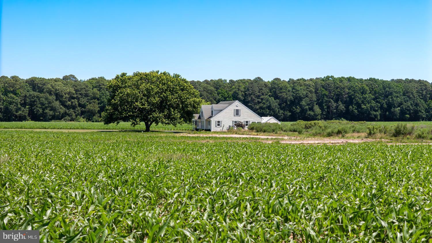 7543 Bozman Neavitt Road Bozman, MD 21612 - Photo 13 of 121