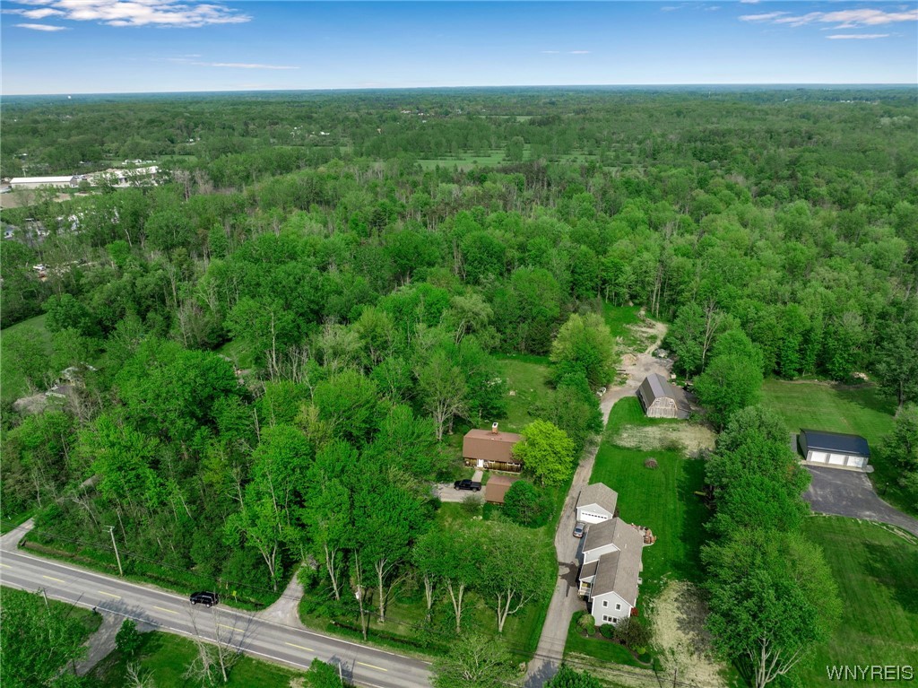 431 Pound Road Elma, NY 14059 - Photo 46 of 50