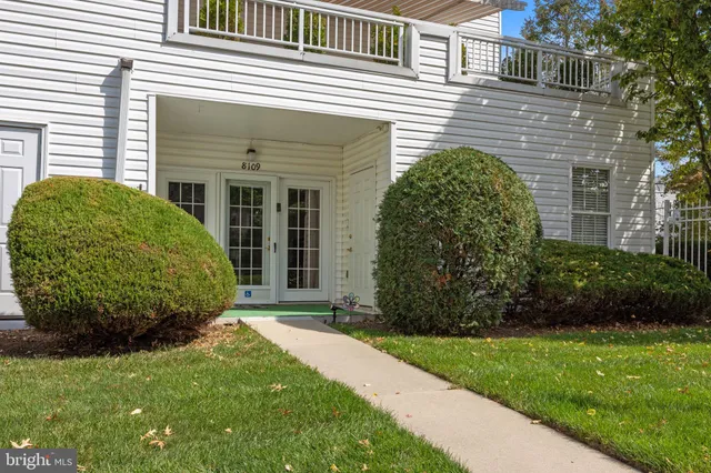 a view of a backyard with plants and large tree