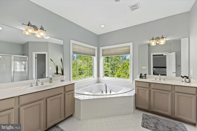 a bathroom with a tub a double vanity sink a large mirror and a bathtub