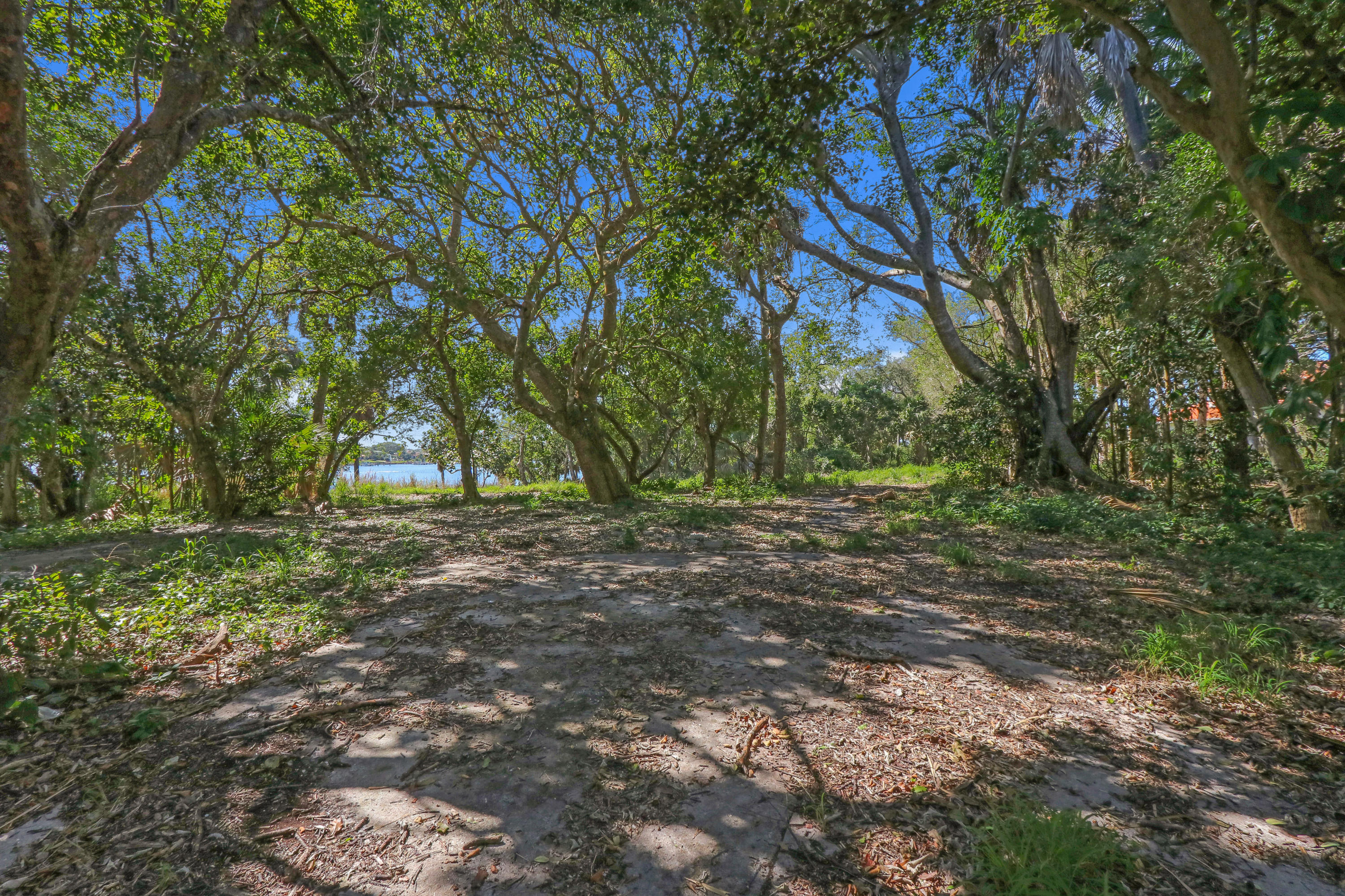 131 South River Road Sewall's Point, FL 34996 - Photo 14 of 15 mature trees