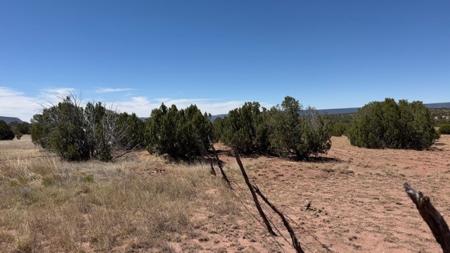B55 Ribera Nm 87565 Ribera, NM 87560 - Photo 16 of 27