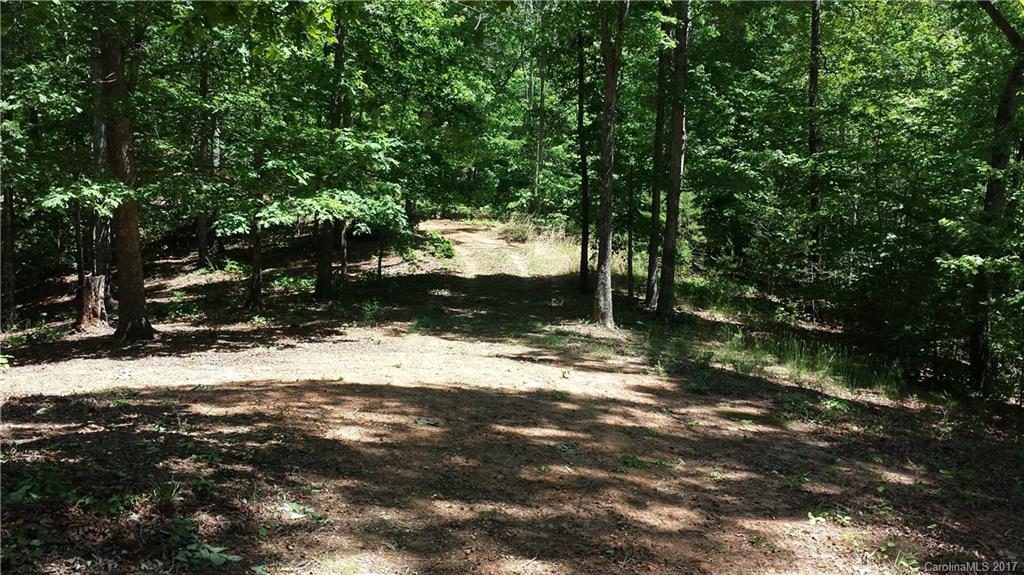 Lot 6 Coltan Ln Mill Spring Mill Spring, NC 28756 - Photo 2 of 12 a view of a yard with plants and trees