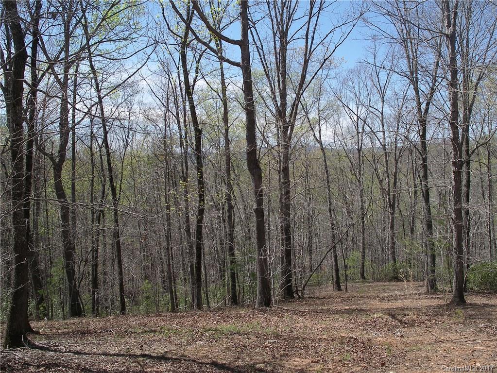 Lot 6 Coltan Ln Mill Spring Mill Spring, NC 28756 - Photo 3 of 12 a view of outdoor space with lots of trees
