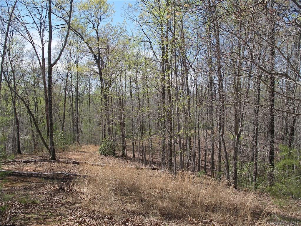 Lot 6 Coltan Ln Mill Spring Mill Spring, NC 28756 - Photo 4 of 12