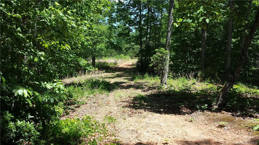 Lot 6 Coltan Ln Mill Spring Mill Spring, NC 28756 - Photo 5 of 12 a view of a forest covered with trees