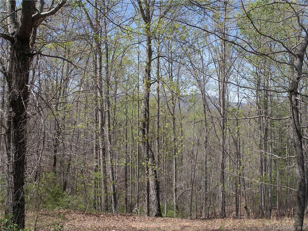 Lot 6 Coltan Ln Mill Spring Mill Spring, NC 28756 - Photo 6 of 12 a view of a yard