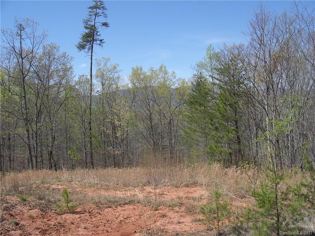 Lot 6 Coltan Ln Mill Spring Mill Spring, NC 28756 - Photo 7 of 12 a view of a forest filled with trees