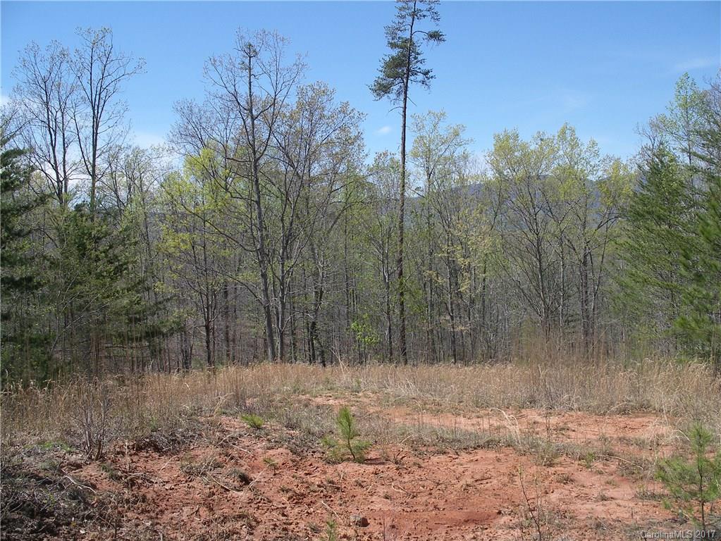 Lot 6 Coltan Ln Mill Spring Mill Spring, NC 28756 - Photo 8 of 12 a view of a forest filled with trees
