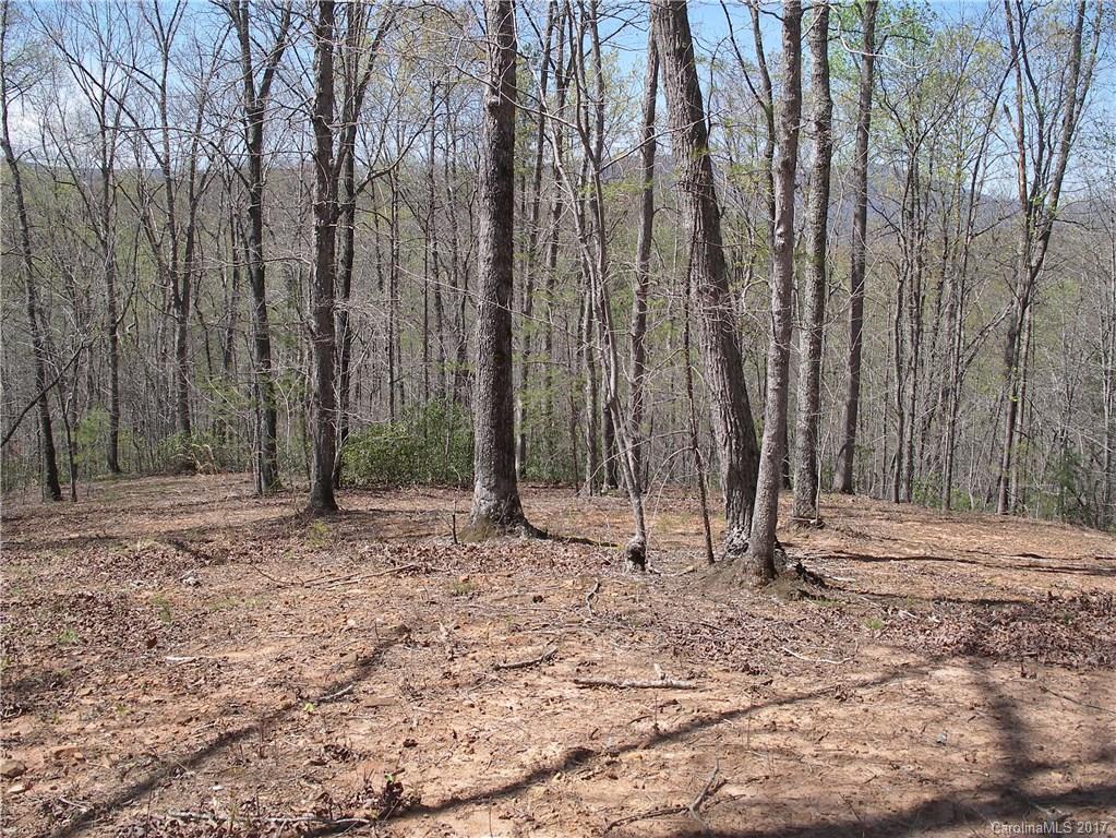 Lot 6 Coltan Ln Mill Spring Mill Spring, NC 28756 - Photo 9 of 12 a view of a backyard with large trees and wooden fence