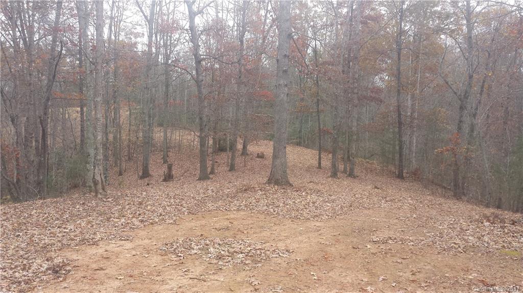 Lot 6 Coltan Ln Mill Spring Mill Spring, NC 28756 - Photo 10 of 12 a view of a yard with trees in the background