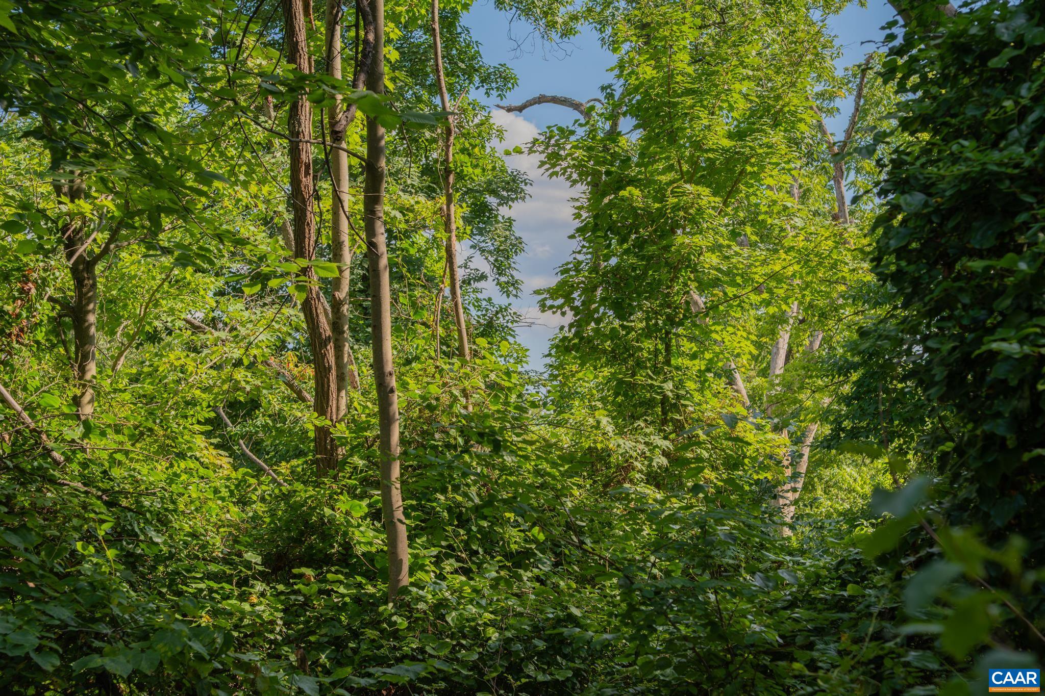 Tbd Frog Hollow Road North Winchester, VA 22603 - Photo 43 of 49 Gallery Image 43