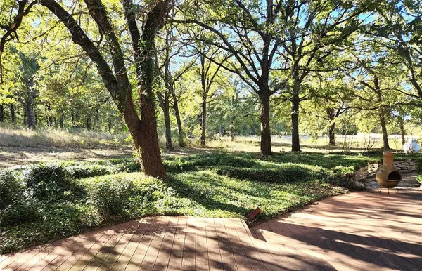 a view of a park that has large trees