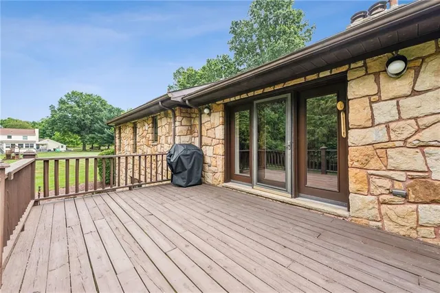 a view of a garden with a tree in a yard