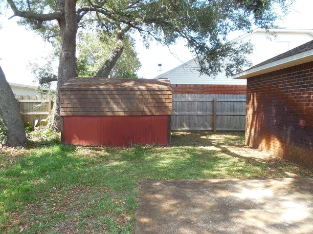 a view of a park with plants and a large tree