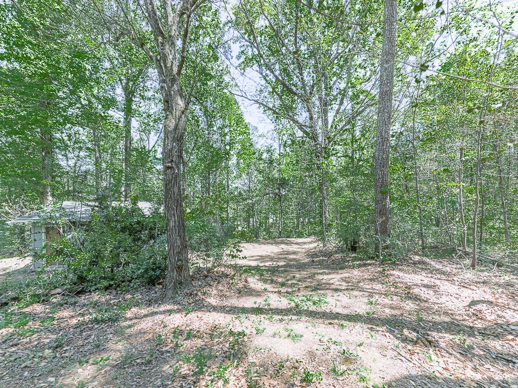 424 Shamrock Drive Dalton, GA 30721 - Photo 34 of 38 a view of a yard with large trees