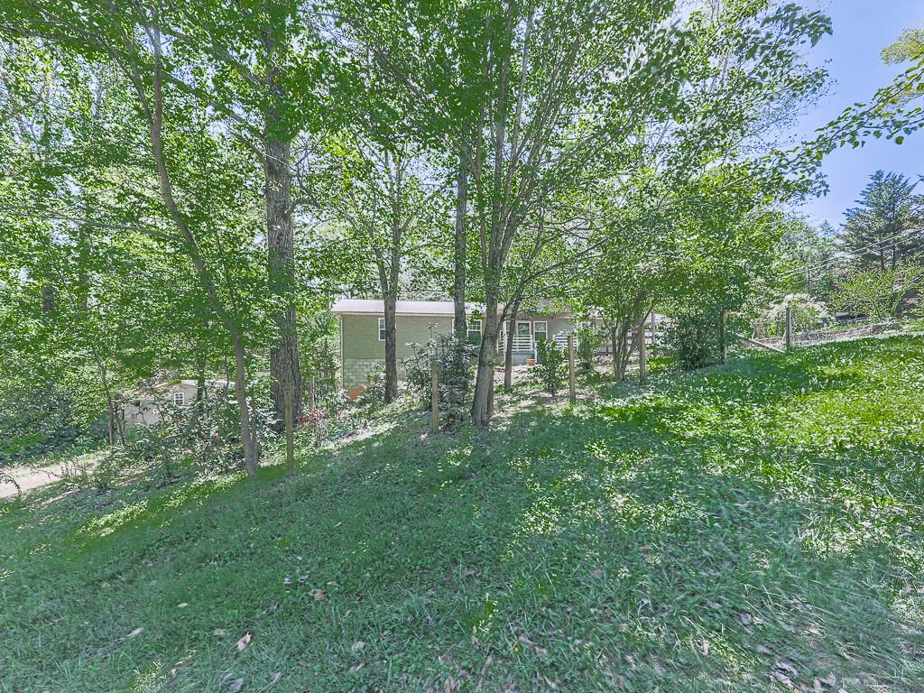 424 Shamrock Drive Dalton, GA 30721 - Photo 38 of 38 a view of a green yard with large trees