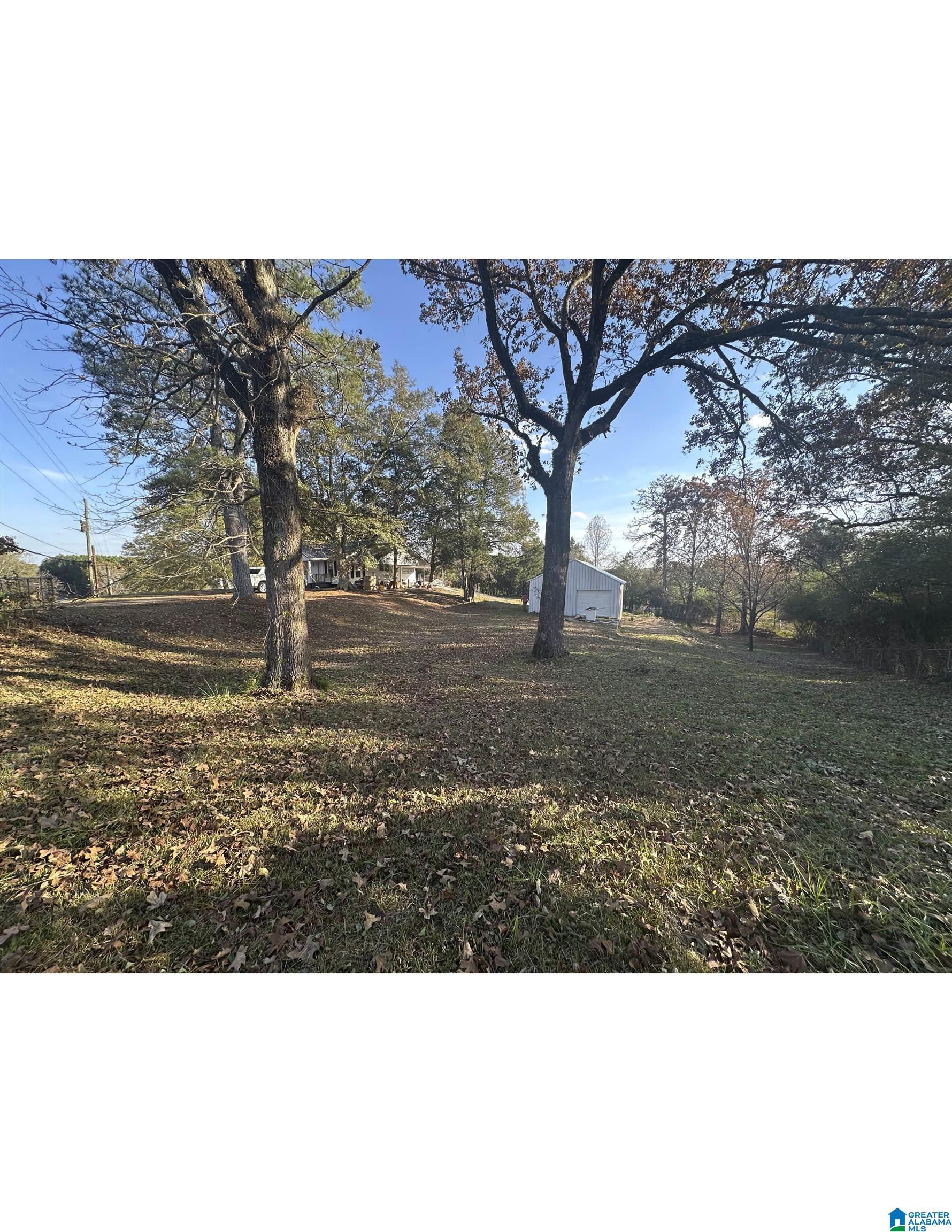 2641 Trafford County Line Road Trafford, AL 35172 - Photo 3 of 20 Gallery Image 3
