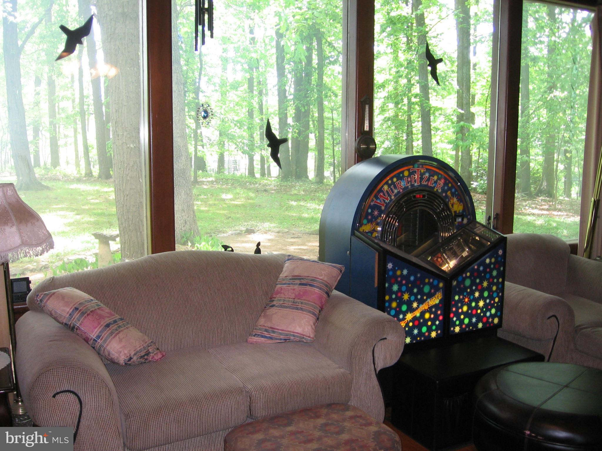 11410 Valley Road Fairfax, VA 22033 - Photo 4 of 4 View from living room