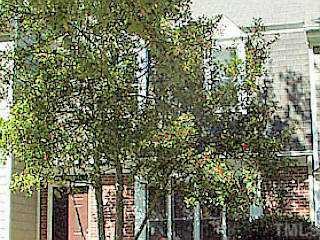 708 Powell Drive Raleigh, NC 27606 - Photo 1 of 1 a picture of a tree