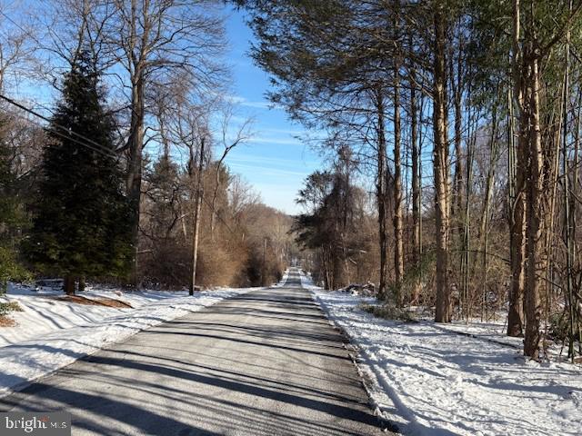 506 Willow Glen Road Kennett Square, PA 19348 - Photo 3 of 8 a view of a yard with large trees