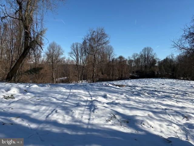 506 Willow Glen Road Kennett Square, PA 19348 - Photo 6 of 8 a view of a backyard of a house