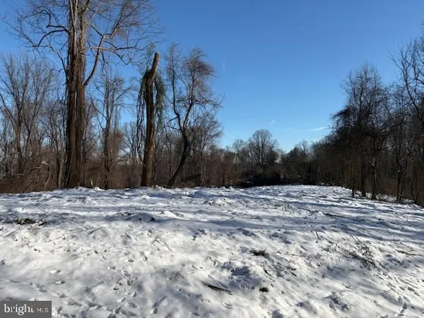 a view of a yard with trees