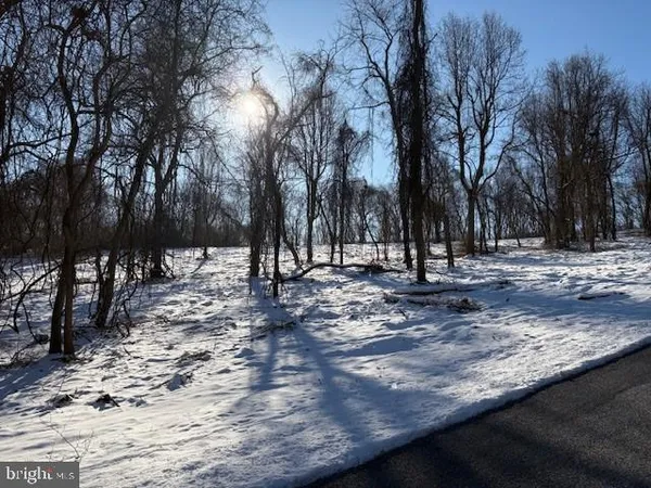 a view of road with trees