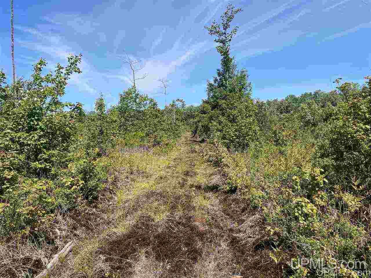 Tbd Off Cooks Lake Road, Unit 1 Wetmore, MI 49895 - Photo 12 of 19