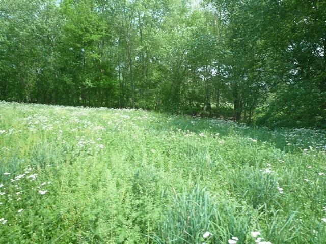 0 Murphy Ford Road Irvine, KY 40336 - Photo 2 of 8 Photo 2