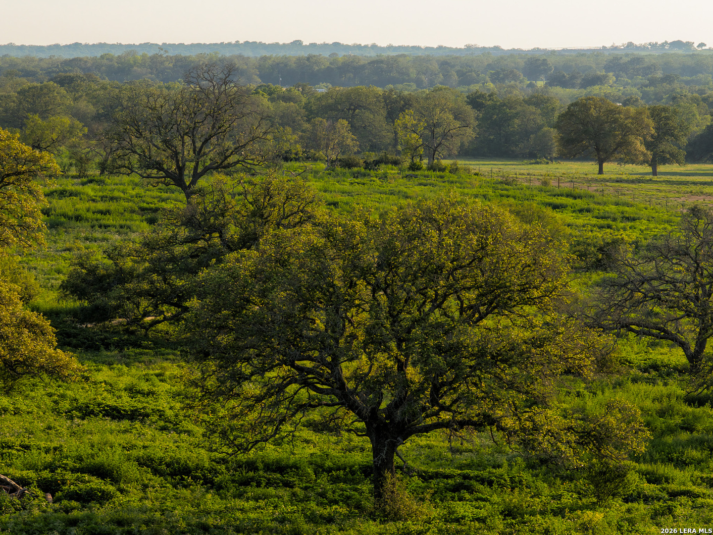 430 Watts Road Kingsbury, TX 78638 - Photo 23 of 37 a view of lake with green field