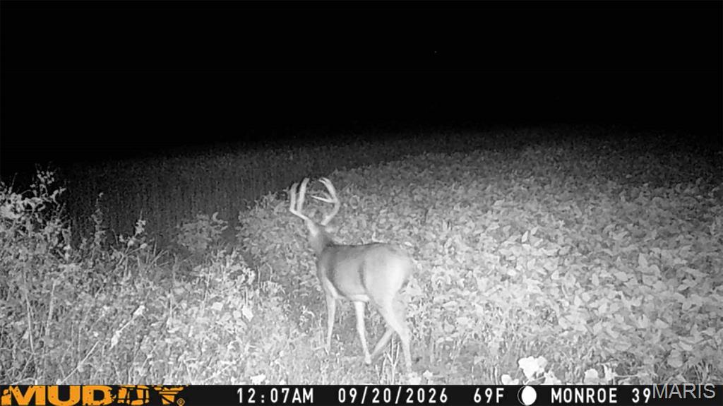 0 Mm Road Red Bud, IL 62278 - Photo 25 of 26 Gallery Image 25