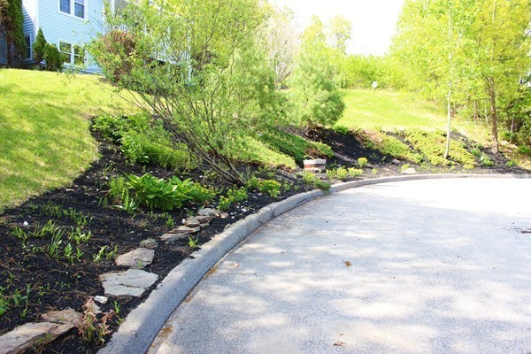 24 Sycamore Drive Rutland, MA 01543 - Photo 30 of 30 a view of a garden with an outdoor space
