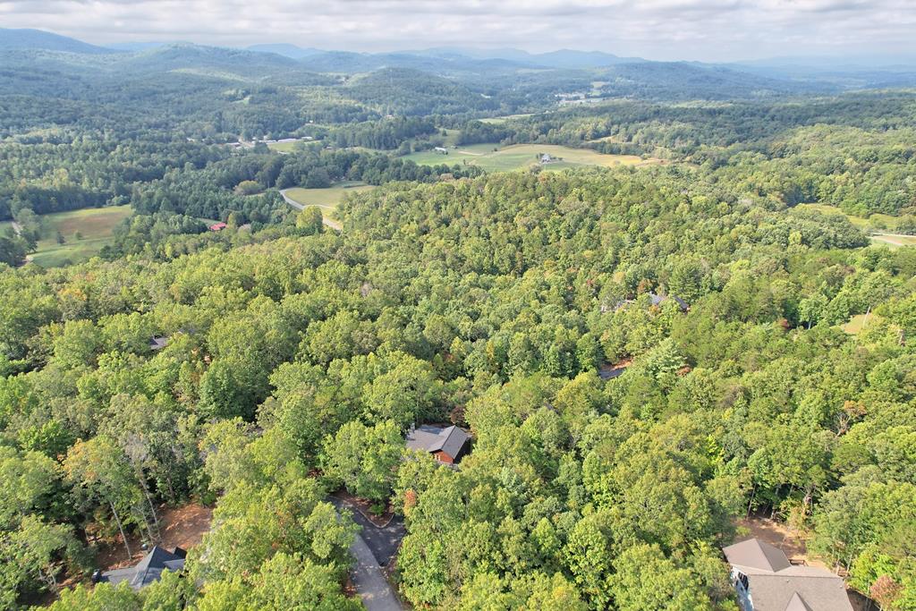 13 Spring Ridge Trail Morganton, GA 30560 - Photo 73 of 75