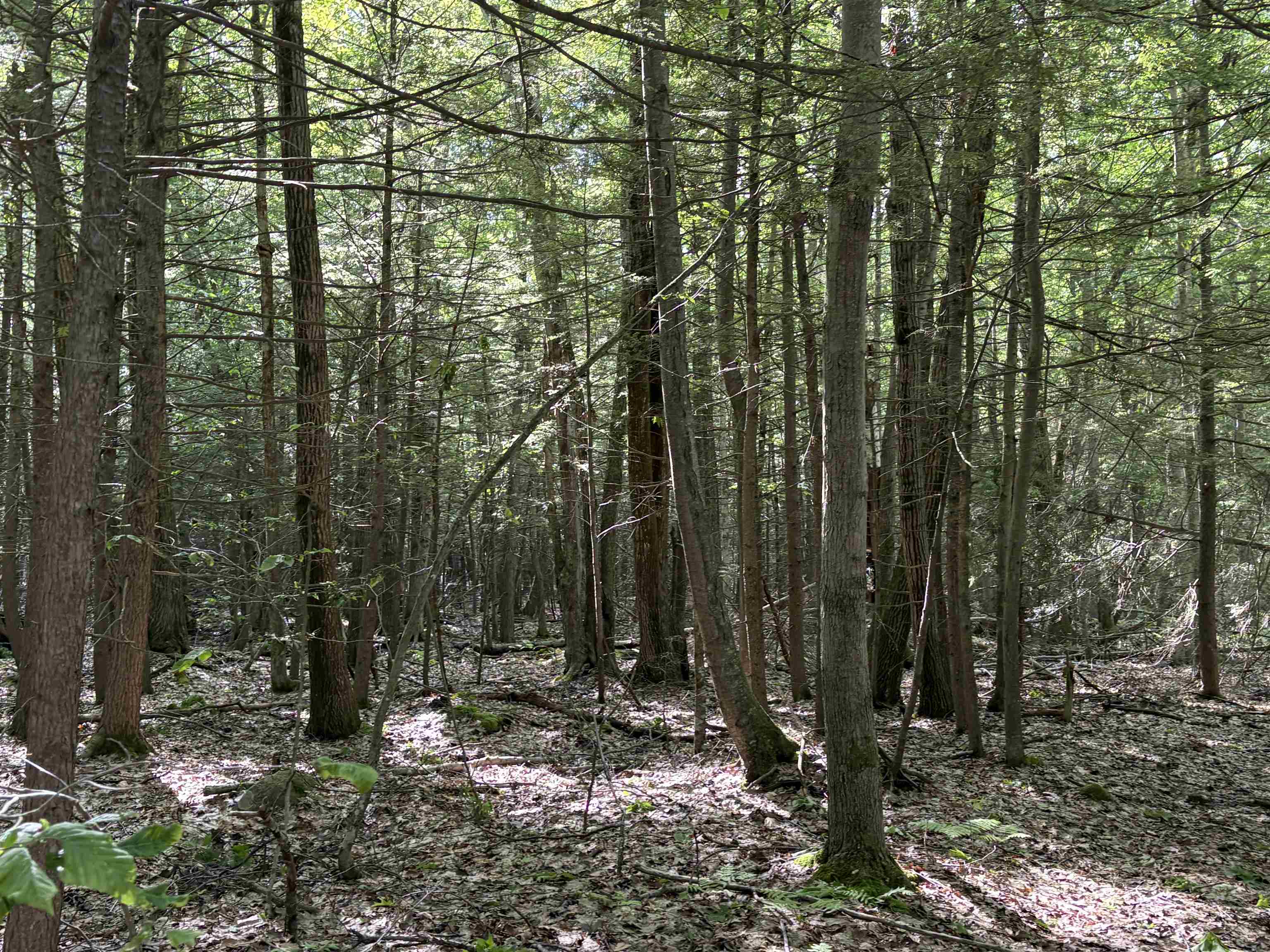 Lot 85 Currier Road Candia, NH 03034 - Photo 5 of 14