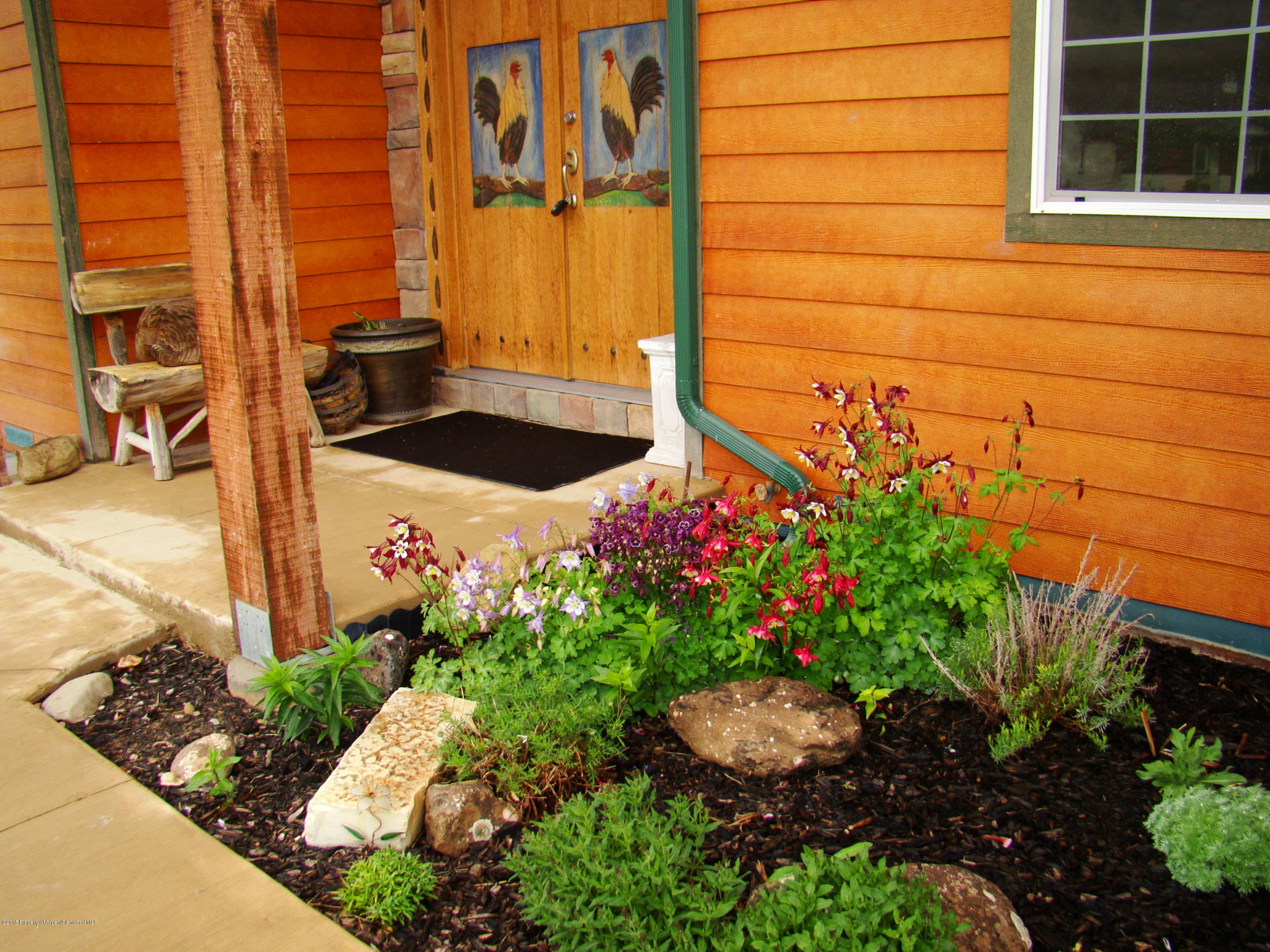 136 Native Springs Drive Rifle, CO 81650 - Photo 3 of 42 a view of a potted plants on a sidewalk